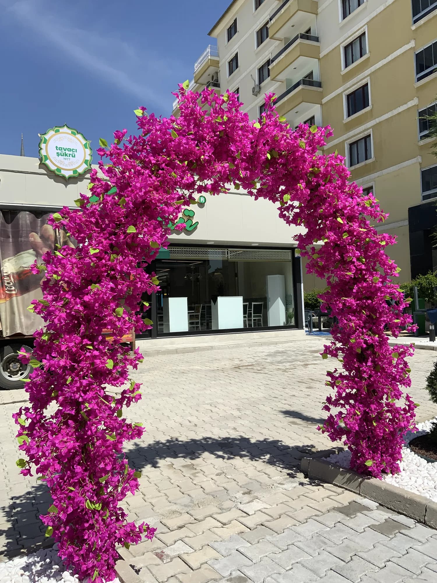 Begonvil cephe çalışması — Yağmur Damlası