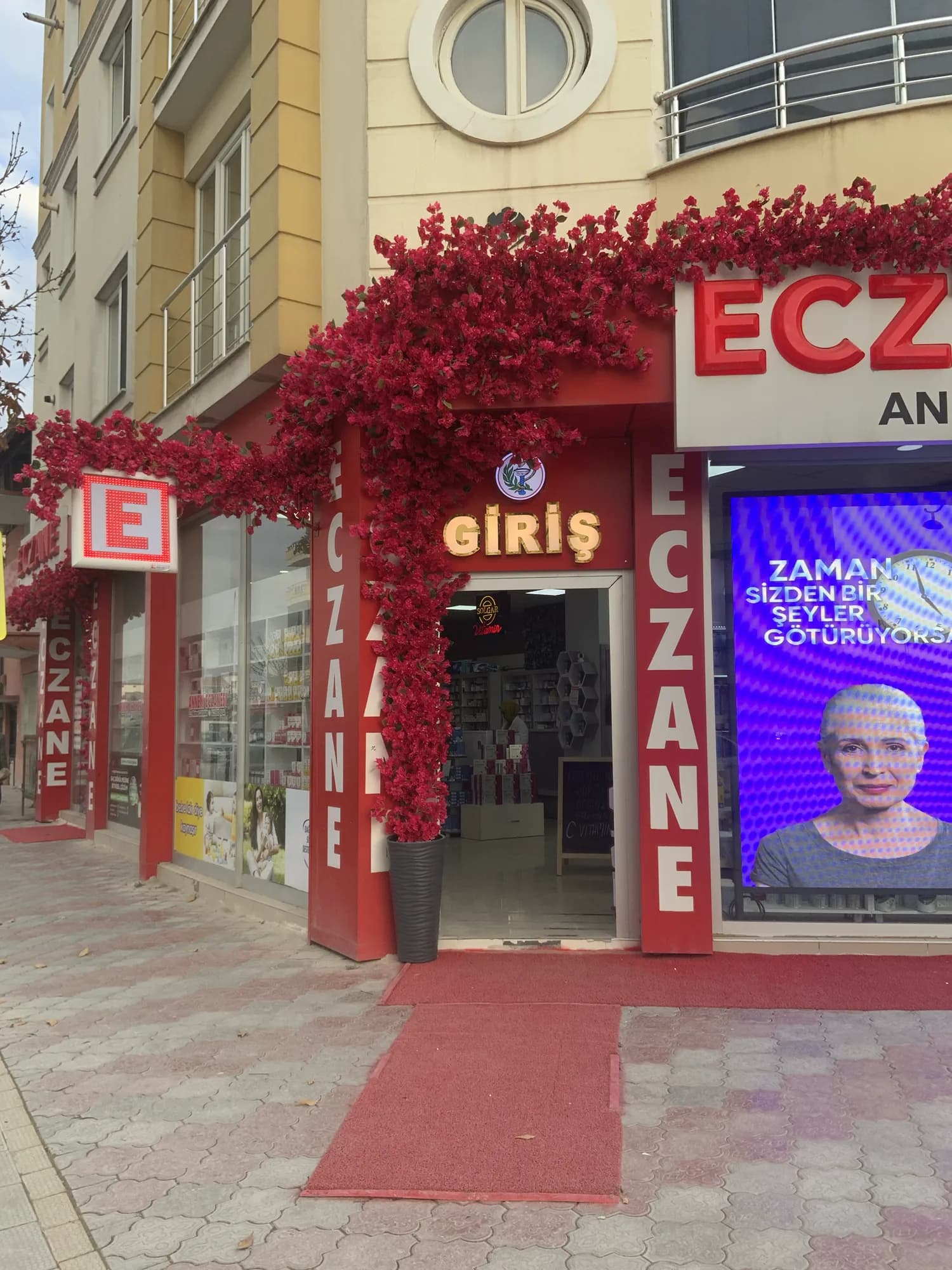 Yağmur Damlası begonvil çalışması 5